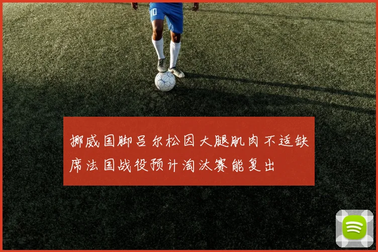 挪威国脚吕尔松因大腿肌肉不适缺席法国战役预计淘汰赛能复出