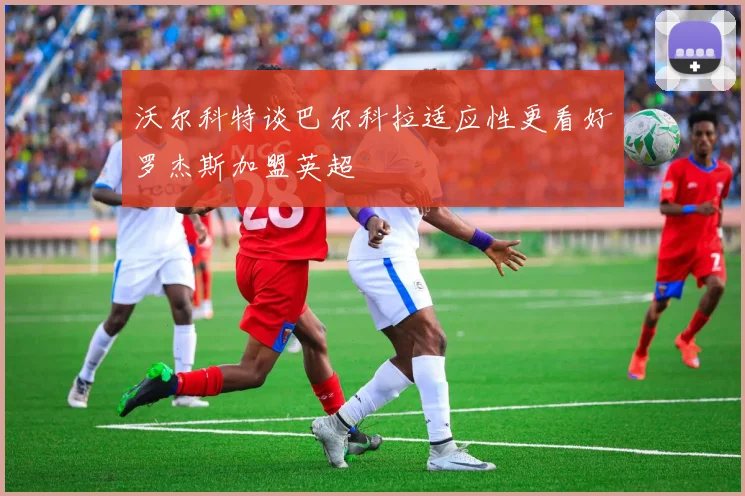 沃尔科特谈巴尔科拉适应性更看好罗杰斯加盟英超
